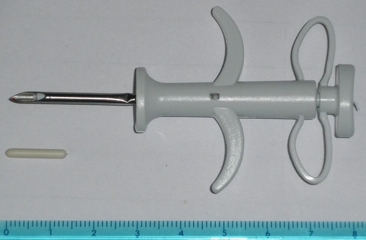 Een grijze injector voor een identificatiechip ligt naast een liniaal.