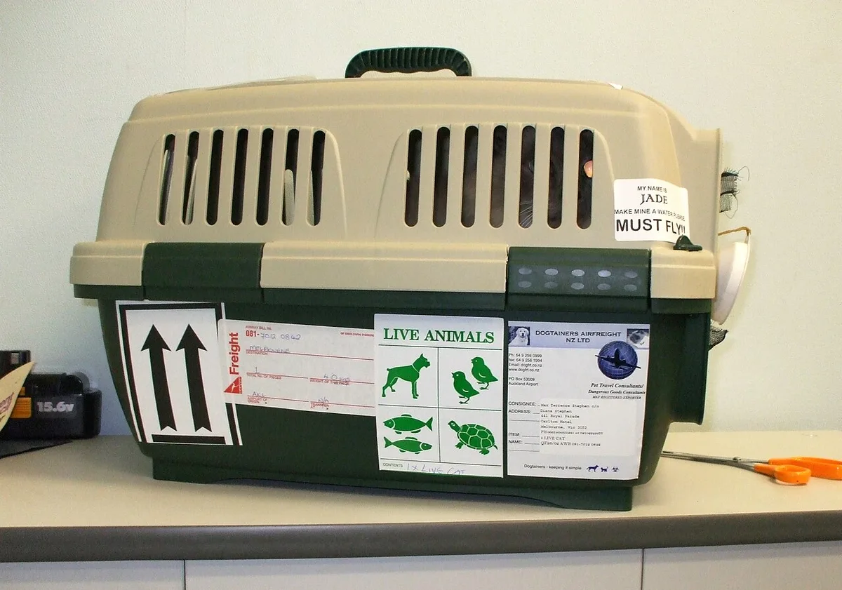 Een kunststof transportbox met stickers Live Animals en richtingpijlen staat op een balie.